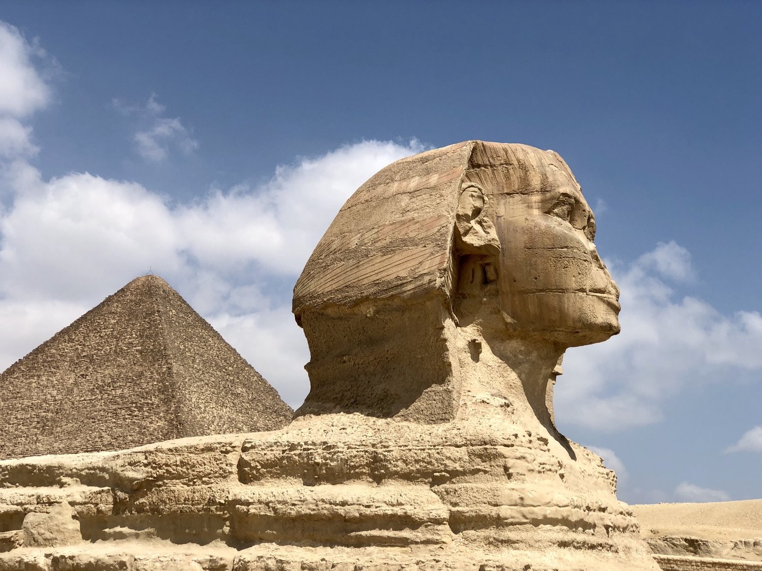 Giza day tour & The Egyptian museum